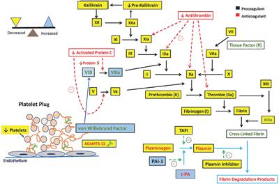 Hemostatic Balance in Pediatric Acute Liver Failure: Epidemiology of Bleeding and Thrombosis, Physiology, and Current Strategies